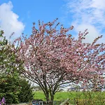 Gorgeous In * Wurster Nordseekuste
