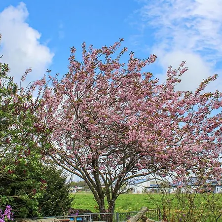 Cozy In Wurster Nordseekueste * Wurster Nordseekuste